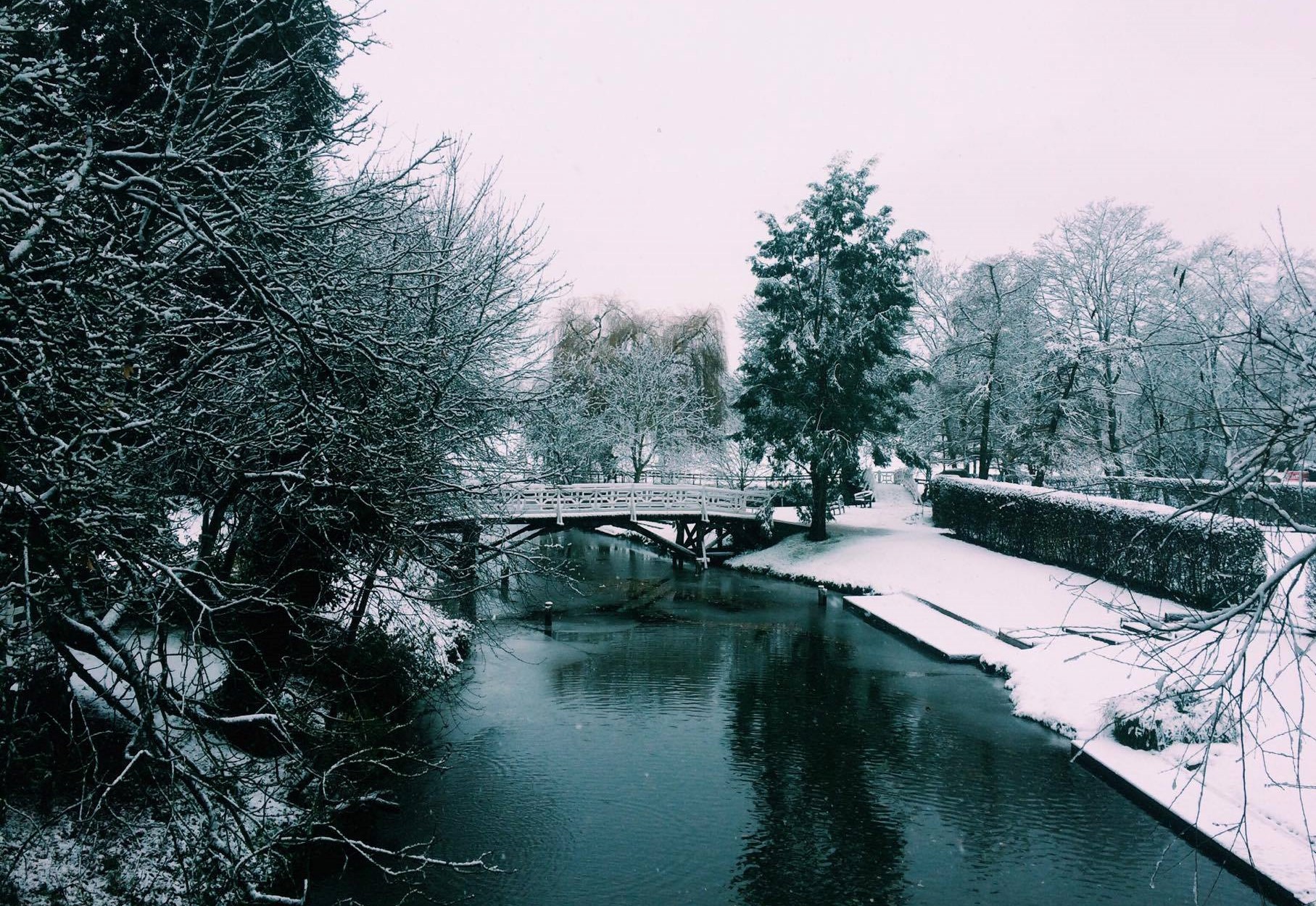 Tess - River (cropped)