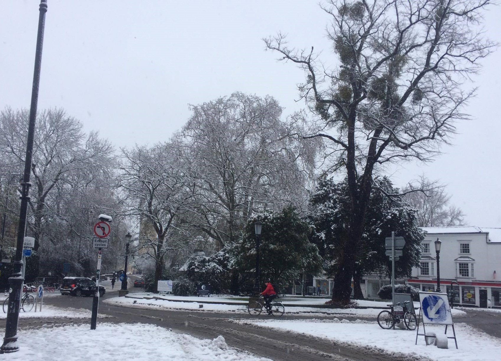 Tess - roundabout (cropped)